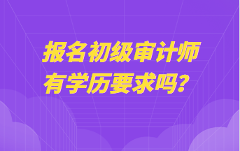 報(bào)名初級審計(jì)師有學(xué)歷要求嗎？