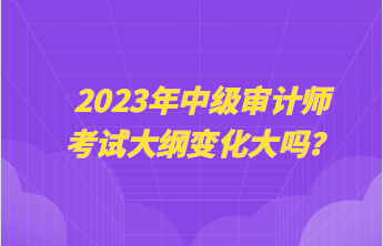 2023年中級(jí)審計(jì)師考試大綱變化大嗎？