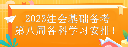 2023注會基礎(chǔ)備考第八周各科學(xué)習(xí)安排！