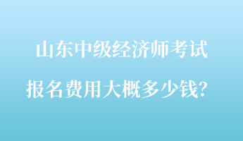 山東中級(jí)經(jīng)濟(jì)師考試報(bào)名費(fèi)用大概多少錢？