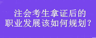 注會考生：拿證后的職業(yè)發(fā)展該如何規(guī)劃？