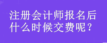 注冊會計師報名后什么時候交費(fèi)呢？