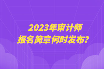 2023年審計師報名簡章何時發(fā)布？