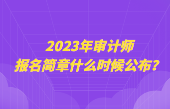 2023年審計師報名簡章什么時候公布？