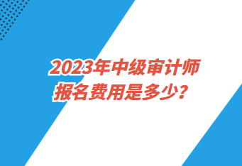 2023年中級審計師報名費用是多少？