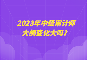 2023年中級審計師大綱變化大嗎？