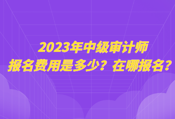 2023年中級審計師報名費用是多少？在哪報名？