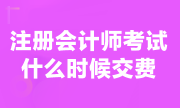 現(xiàn)在可以交注冊會計師報名費嗎？