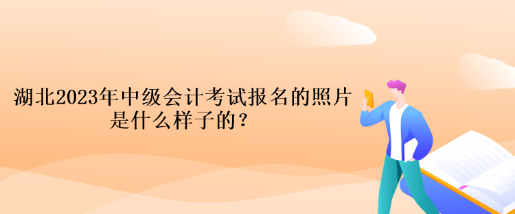 湖北2023年中級(jí)會(huì)計(jì)考試報(bào)名的照片是什么樣子的？