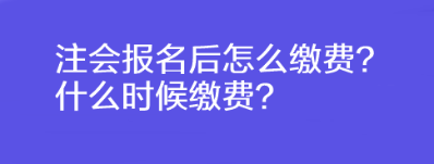 注會報名后怎么繳費？什么時候繳費？