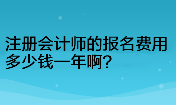 注冊會計師的報名費(fèi)用多少錢一年?。? suffix=