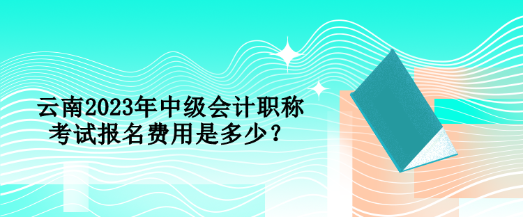 云南2023年中級(jí)會(huì)計(jì)職稱考試報(bào)名費(fèi)用是多少？