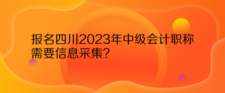 報(bào)名四川2023年中級(jí)會(huì)計(jì)職稱需要信息采集？