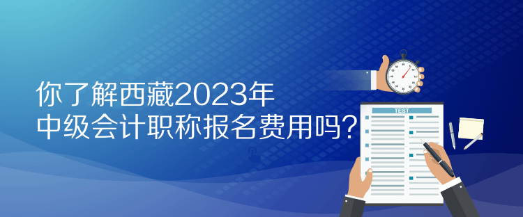 你了解西藏2023年中級會計職稱報名費(fèi)用嗎？