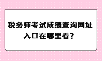 稅務(wù)師考試成績查詢網(wǎng)址入口在哪里看