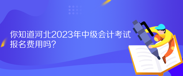 你知道河北2023年中級(jí)會(huì)計(jì)考試報(bào)名費(fèi)用嗎？