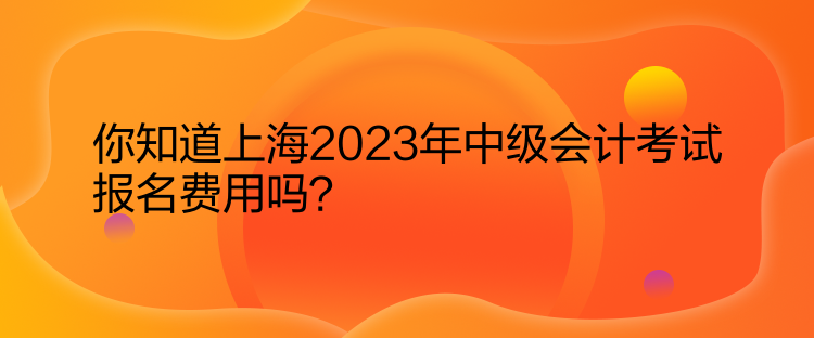 你知道上海2023年中級(jí)會(huì)計(jì)考試報(bào)名費(fèi)用嗎？