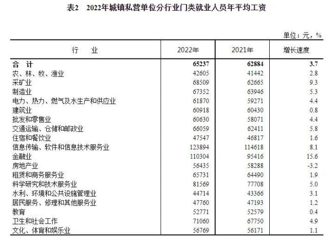 2022年城鎮(zhèn)私營(yíng)單位分行業(yè)門(mén)類(lèi)就業(yè)人員年平均工資