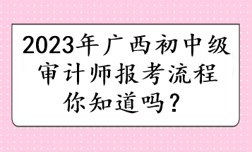 2023年廣西初中級(jí)審計(jì)師報(bào)考流程你知道嗎？