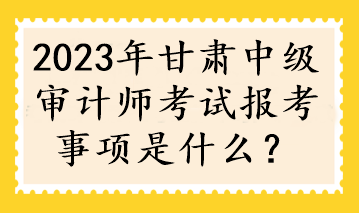 2023年甘肅中級(jí)審計(jì)師考試報(bào)考事項(xiàng)是什么？