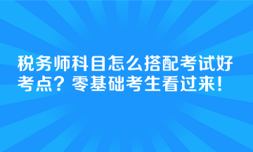 稅務(wù)師科目怎么搭配考試好考點？零基礎(chǔ)考生看過來！