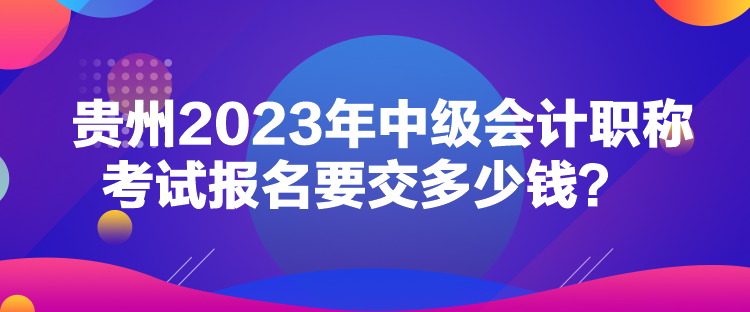 貴州2023年中級會計職稱考試報名要交多少錢？