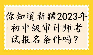 你知道新疆2023年初中級審計師考試報名條件嗎？