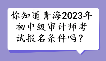 你知道青海2023年初中級(jí)審計(jì)師考試報(bào)名條件嗎？