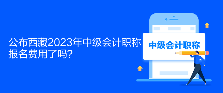 公布西藏2023年中級會計(jì)職稱報(bào)名費(fèi)用了嗎？