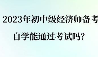 2023年初中級經(jīng)濟師備考 自學能通過考試嗎？