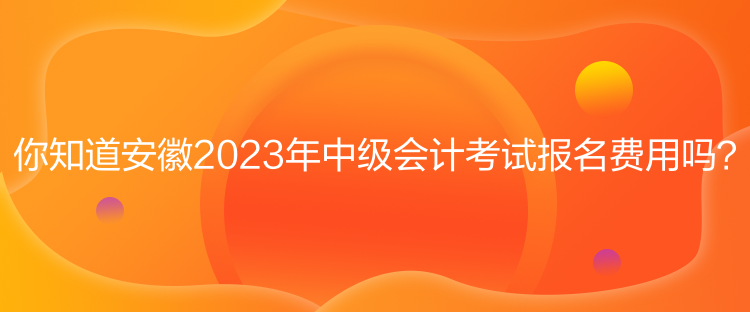 你知道安徽2023年中級會(huì)計(jì)考試報(bào)名費(fèi)用嗎？