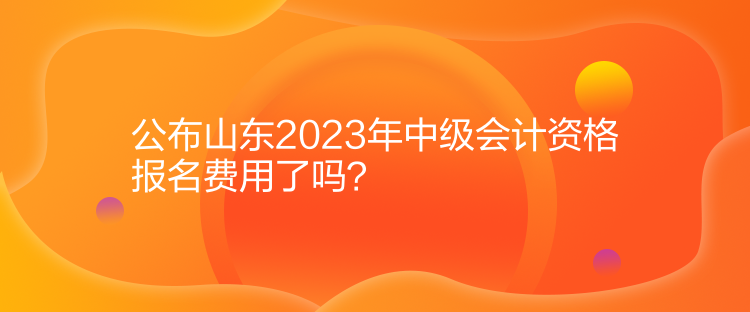 公布山東2023年中級會計資格報名費用了嗎？