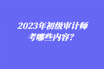 2023年初級審計(jì)師考哪些內(nèi)容？