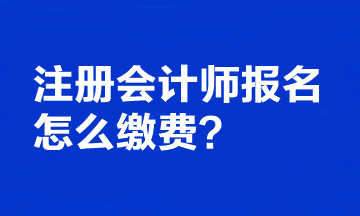 注冊會計師報名怎么繳費？繳費時間截止到哪天？