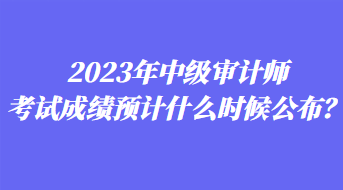 2023年中級(jí)審計(jì)師考試成績預(yù)計(jì)什么時(shí)候公布？