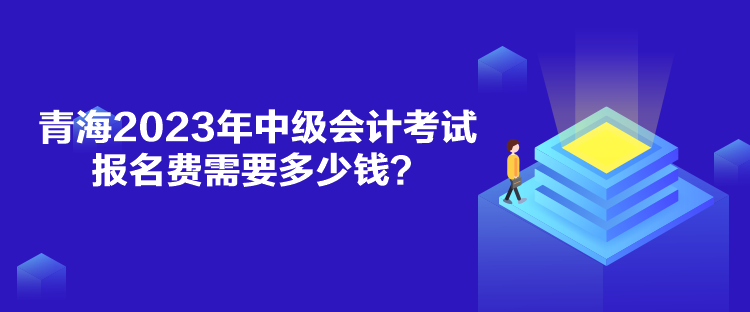 青海2023年中級(jí)會(huì)計(jì)考試報(bào)名費(fèi)需要多少錢？