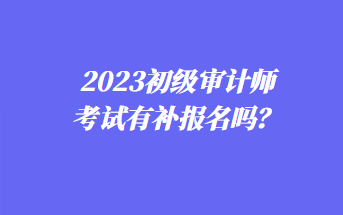 2023年初級審計師考試有補報名嗎？