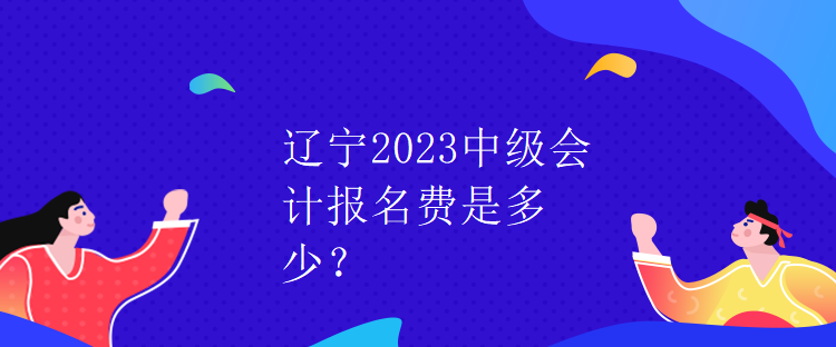 遼寧2023中級(jí)會(huì)計(jì)報(bào)名費(fèi)是多少？