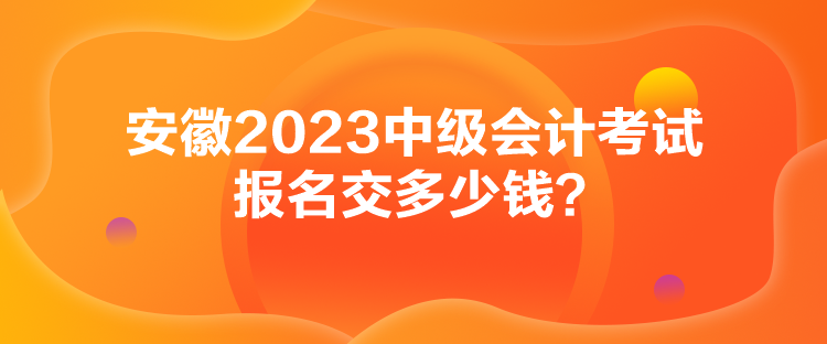 安徽2023中級會計考試報名交多少錢？