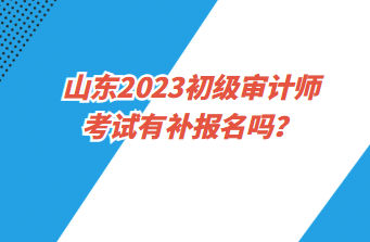 山東2023初級審計師考試有補報名嗎？