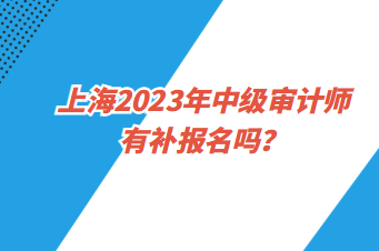 上海2023年中級(jí)審計(jì)師有補(bǔ)報(bào)名嗎？