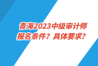 青海2023中級(jí)審計(jì)師報(bào)名條件？具體要求？