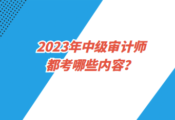 2023年中級(jí)審計(jì)師都考哪些內(nèi)容？