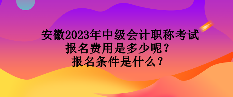 安徽2023年中級會計職稱考試報名費用是多少呢？報名條件是什么？