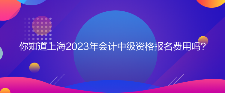 你知道上海2023年會計(jì)中級資格報(bào)名費(fèi)用嗎？