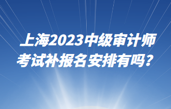 上海2023中級(jí)審計(jì)師考試補(bǔ)報(bào)名安排有嗎？