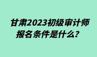 甘肅2023初級審計師報名條件是什么？