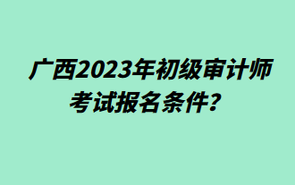 廣西2023年初級審計(jì)師考試報(bào)名條件？