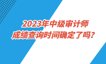 2023年中級(jí)審計(jì)師成績(jī)查詢時(shí)間確定了嗎？