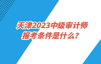 天津2023中級(jí)審計(jì)師報(bào)考條件是什么？